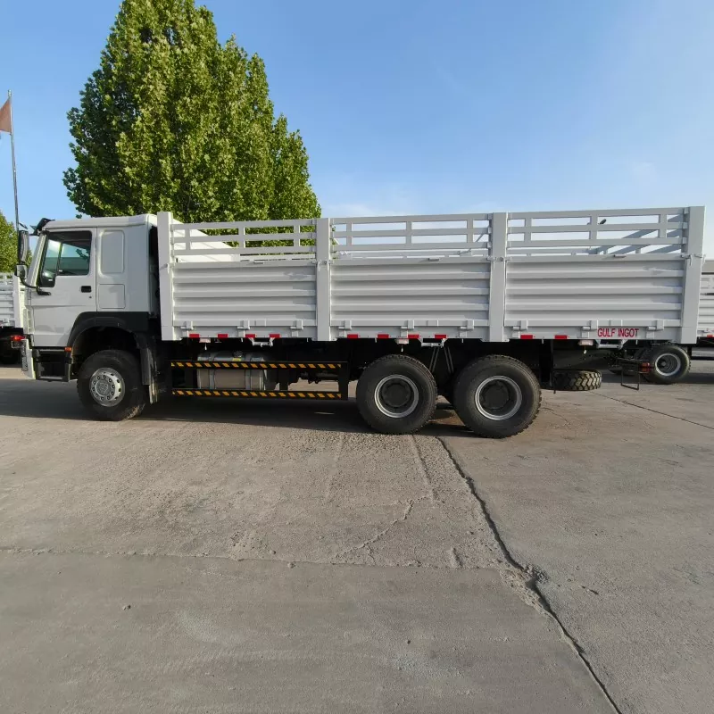 Camion de fret de clôture HOWO 6x4